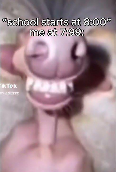 wakey wakey is time for school #memes #memes #funny
