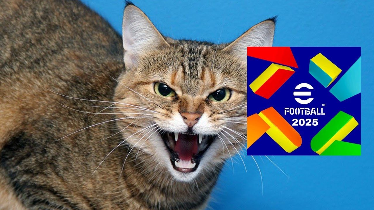 METTEZ VOUS EFOOTBALL visual data 2