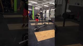 Federico Frixione Fall Series 22.3