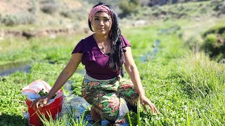 Watercress & Fishing