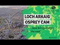 Louis brings fish to the nest - Loch Arkaig Osprey Cam