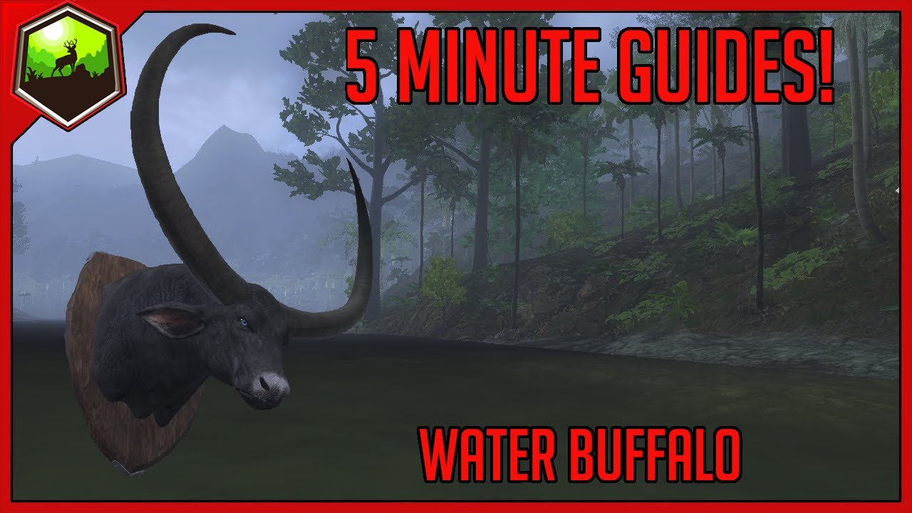 5 Minute Guides Water Buffalo theHunter Classic YouTube