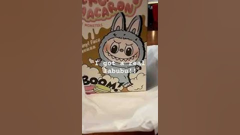 I FINALLY GOT A LABUBU! #labubu #popmart #labubumacaron #labubuviral #labubuunboxing #video #youtube