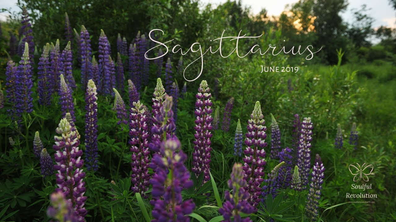 You must prepare for this REUNION, SAGITTARIUS