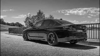 Brandon Beal - Twerk It Like Miley (8D Bass Boosted)