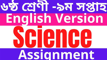 Class 6 Assignment || Science || English version || 9th week ||