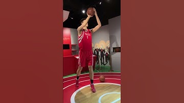 Yao Ming is damm tall