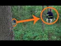 Hidden camera catches some disturbing footage in the woods - IS HE INJURED?