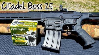 Citadel Boss-25 Review & Shoot Buckshot Birdshot & Slugs - AR12 12 Gauge screenshot 3
