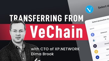 XP Shorts — How to bridge NFT from VeChain — with CTO Dima Brook