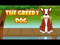 The Greedy Dog Moral story in English | Small Moral Story for kids | Kid2teentv