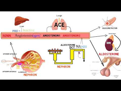 شرح مفصل خطوة بخطوة ل    