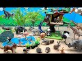 Meet Safari Animals With Tree House | Savanna Animal Diorama