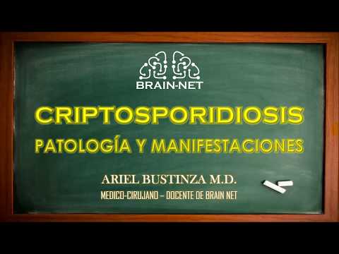 Video: Parásito Intestinal (Cryptosporidium) En Perros