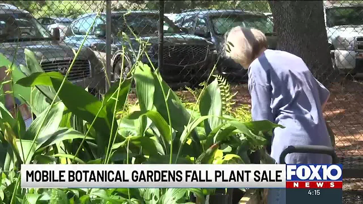 Fall plant sale underway at Mobile Botanical Gardens thumbnail