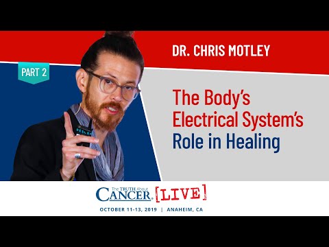 The Body's Electrical System's Role in Healing | Dr. Chris Motley at The Truth About Cancer LIVE '19