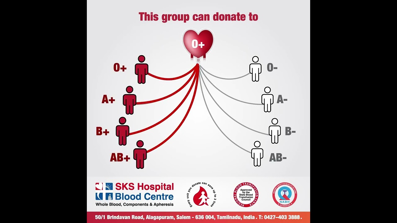 Do you know to which blood group O+ donors can contribute?