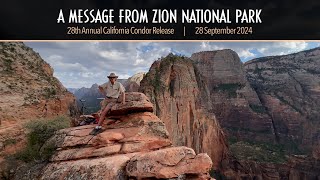 Condor Release 2024: A Message from Zion National Park