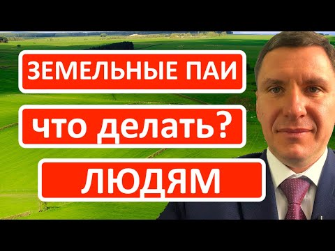 Что делать с земельными паями? Секреты аренды земли