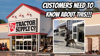 tractor supply whelping box