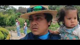 San Antonio Tea Gardens