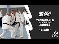 Aoi judo jujitsu  tai sabaki  clefs de jambes  cijam 