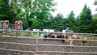VID_20120630_144039.mp4