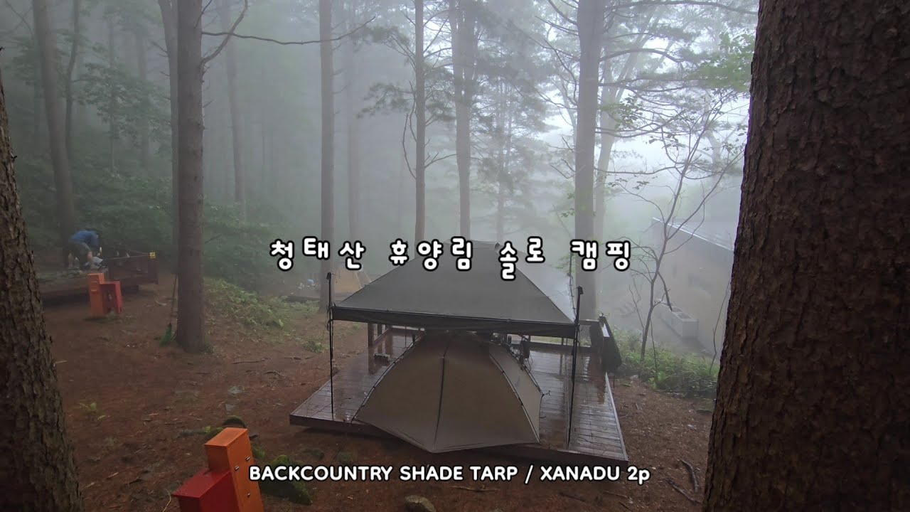 주말 청태산 휴양림 우중 솔로 캠핑 / 백컨트리 쉐이드 타프 / 재너두 2p. BACKCOUNTRY SHADE TARP 