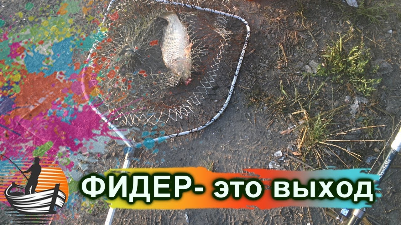 Не клюет на волге Не клюет на волге
