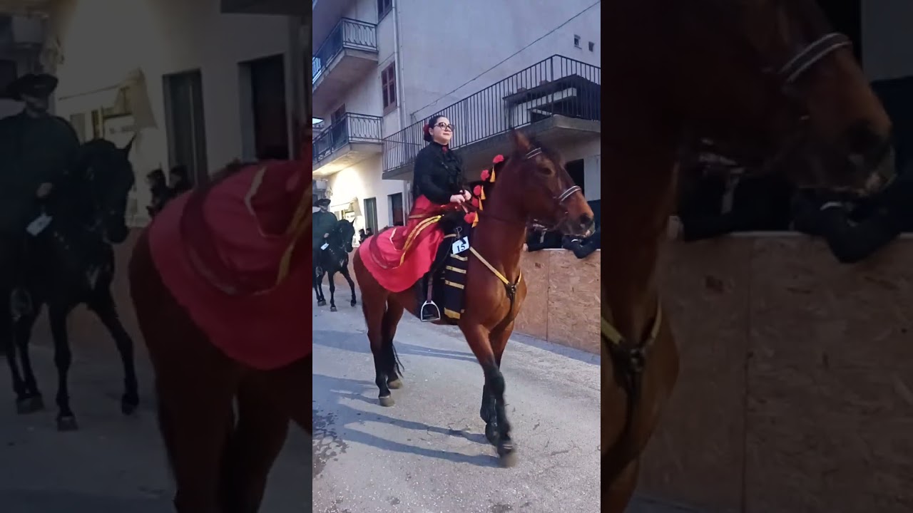 Carnevale a cavallo Corleone(PA)8/02/2026