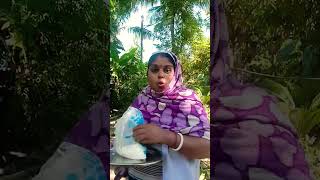 Healthy Food Vs Chupa Chupscandy