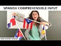 Spanish Comprehensible Input | Online Learning