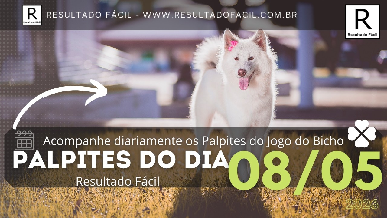 Palpites do dia Jogo do Bicho para o dia 08/05/2026
