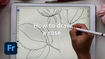 How to draw a rose | Easy steps for beginners [Tutorial]