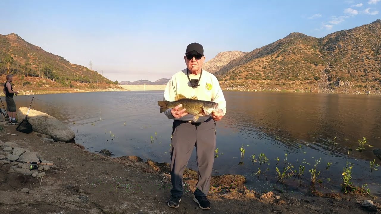 Summer bass fishing ( review )