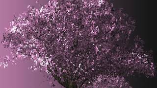"Nurture" | Soft Piano Music, Original Composition