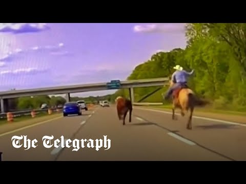 Cowboy chases runaway