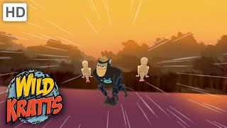 Wild Kratts |Kratt Brothers To The Rescue | Creature Power screenshot 4