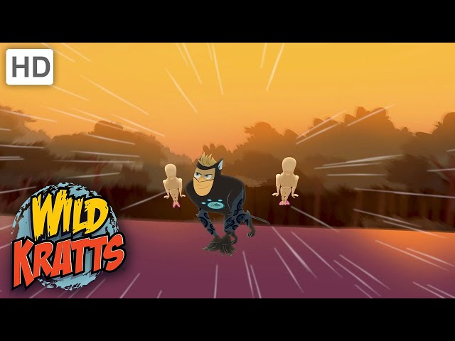 Wild Kratts |Kratt Brothers To The Rescue | Creature Power - YouTube