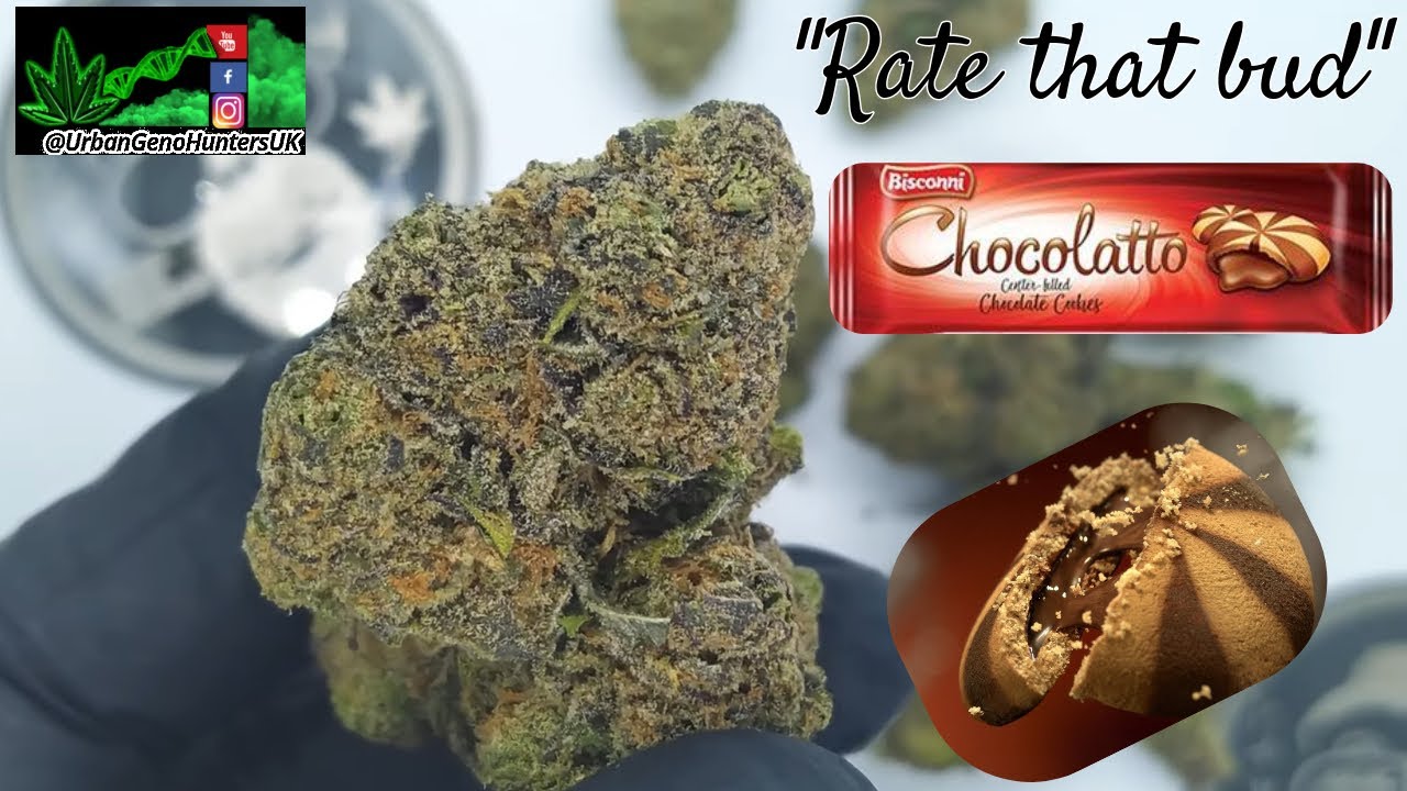 "Rate that bud" Chocolatto strain buds UK 