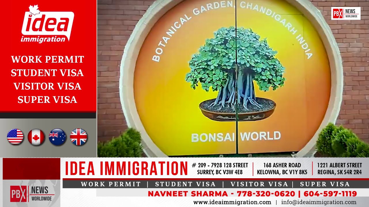 Chandigarh 'ਚ Bonsai World ਦਾ ਖਾਸ ਉਪਰਾਲਾ, ਦੇਸ਼ ਦਾ ਪਹਿਲਾ Bonsai Garden