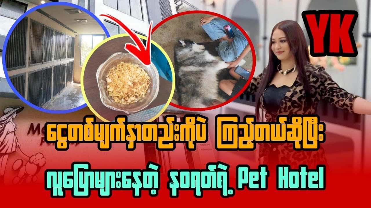 နဝရတ်ရဲ့ Pet Hotel