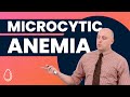 Microcytic anemia sample lesson  preclinical  hematologyoncology  onlinemededcom