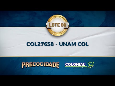 LOTE 08 COL 27658