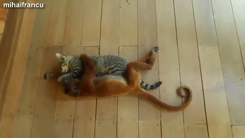 Best Fails of the Week 1 June 2015 || FailArmy