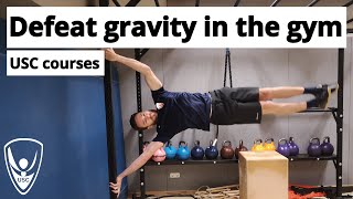 An Introduction To... Calisthenics Usc Sport Amsterdam