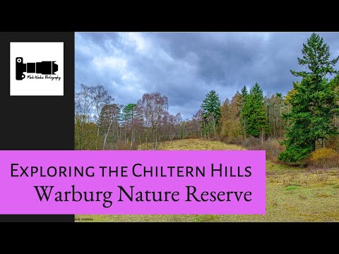 A Woodland walk through Warburg Nature Reserve in the Chiltern Hills.