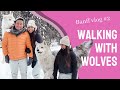 BANFF IN WINTER - WE SAW A WOLF!! TORONTO TO BANFF VLOG #2