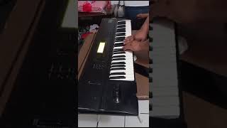 trompetas tierra caliente Korg 01wfd