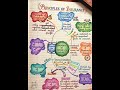 PRINCIPLES OF INSURANCE